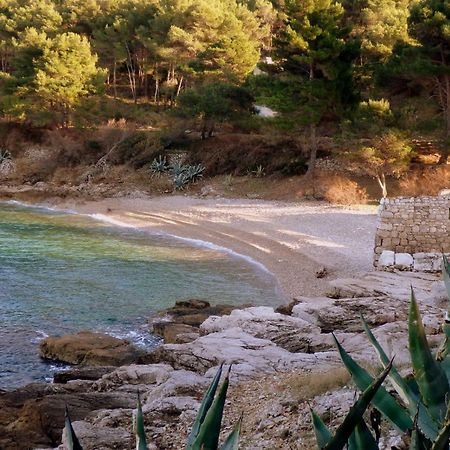 Guesthouse Torga ヴィス エクステリア 写真